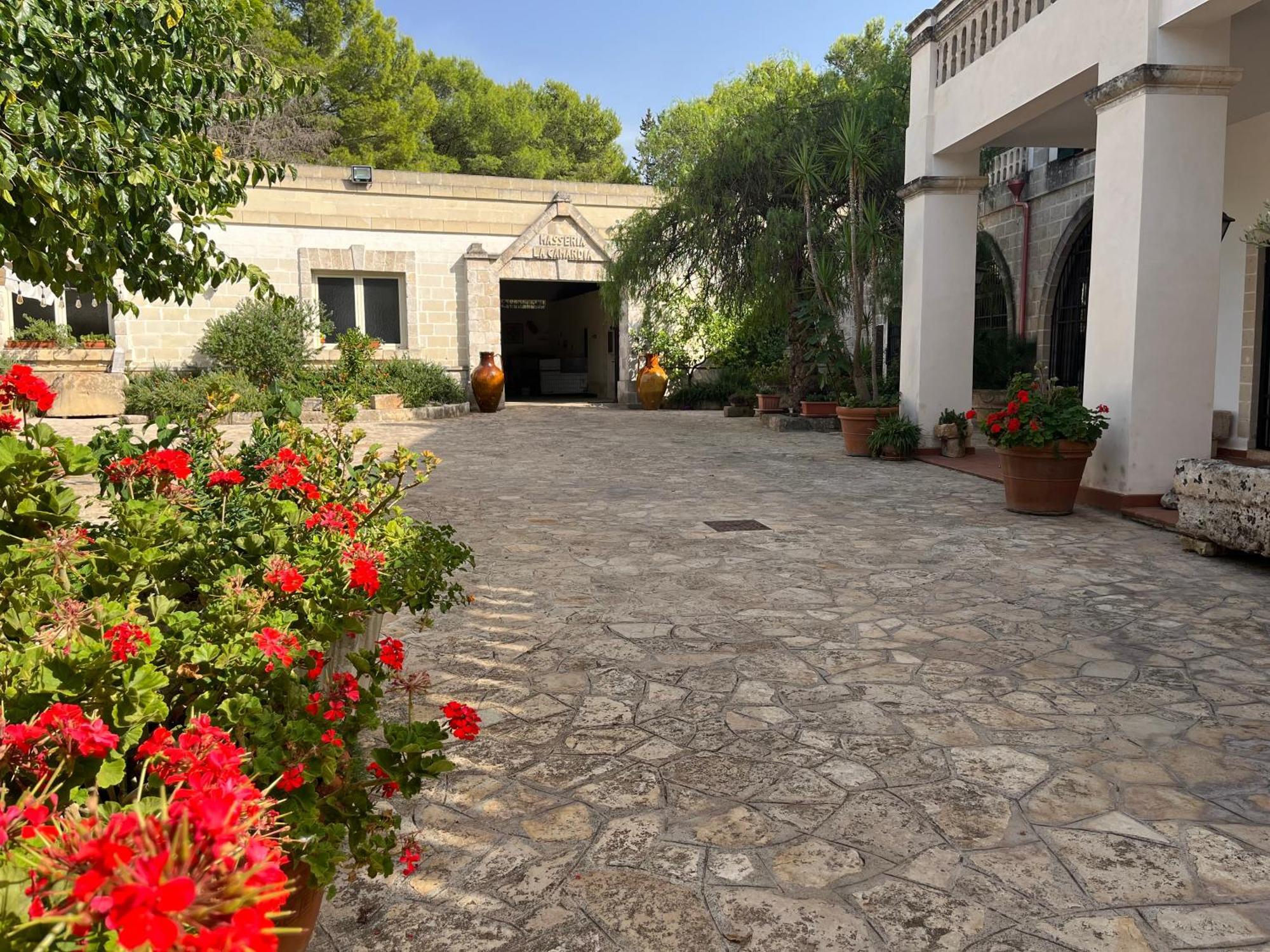 Masseria La Camardia سافا المظهر الخارجي الصورة