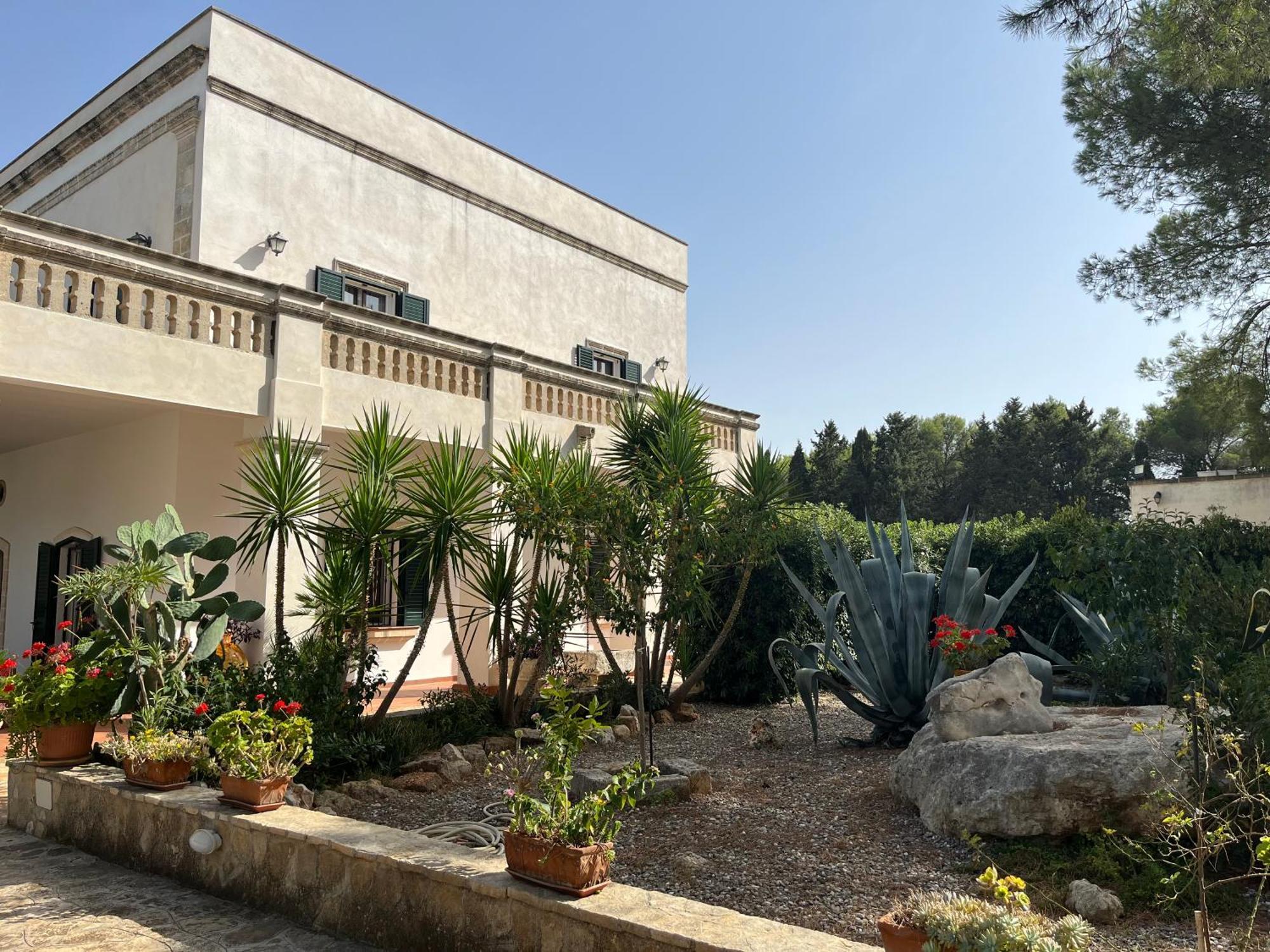 Masseria La Camardia سافا المظهر الخارجي الصورة