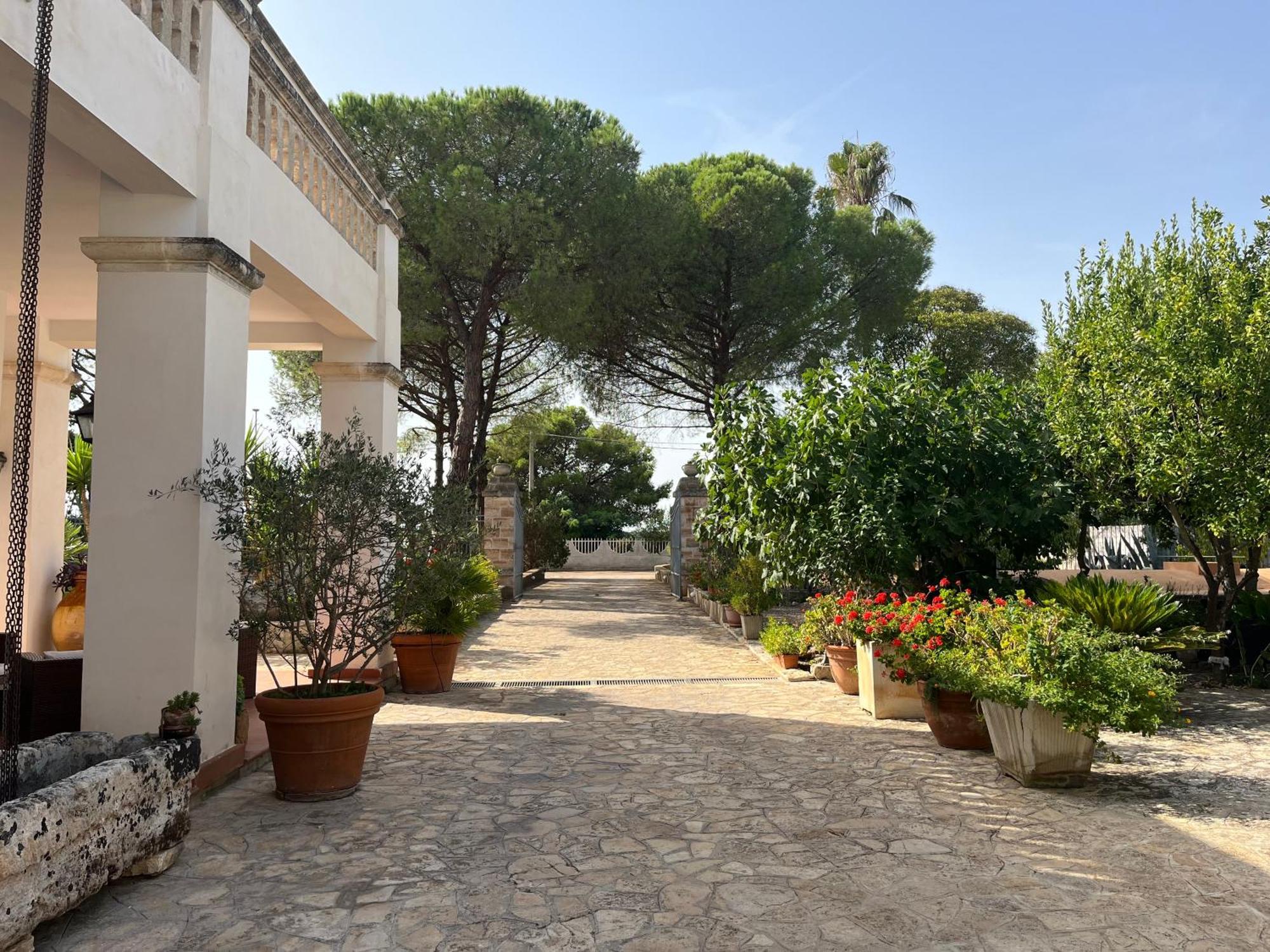 Masseria La Camardia سافا المظهر الخارجي الصورة