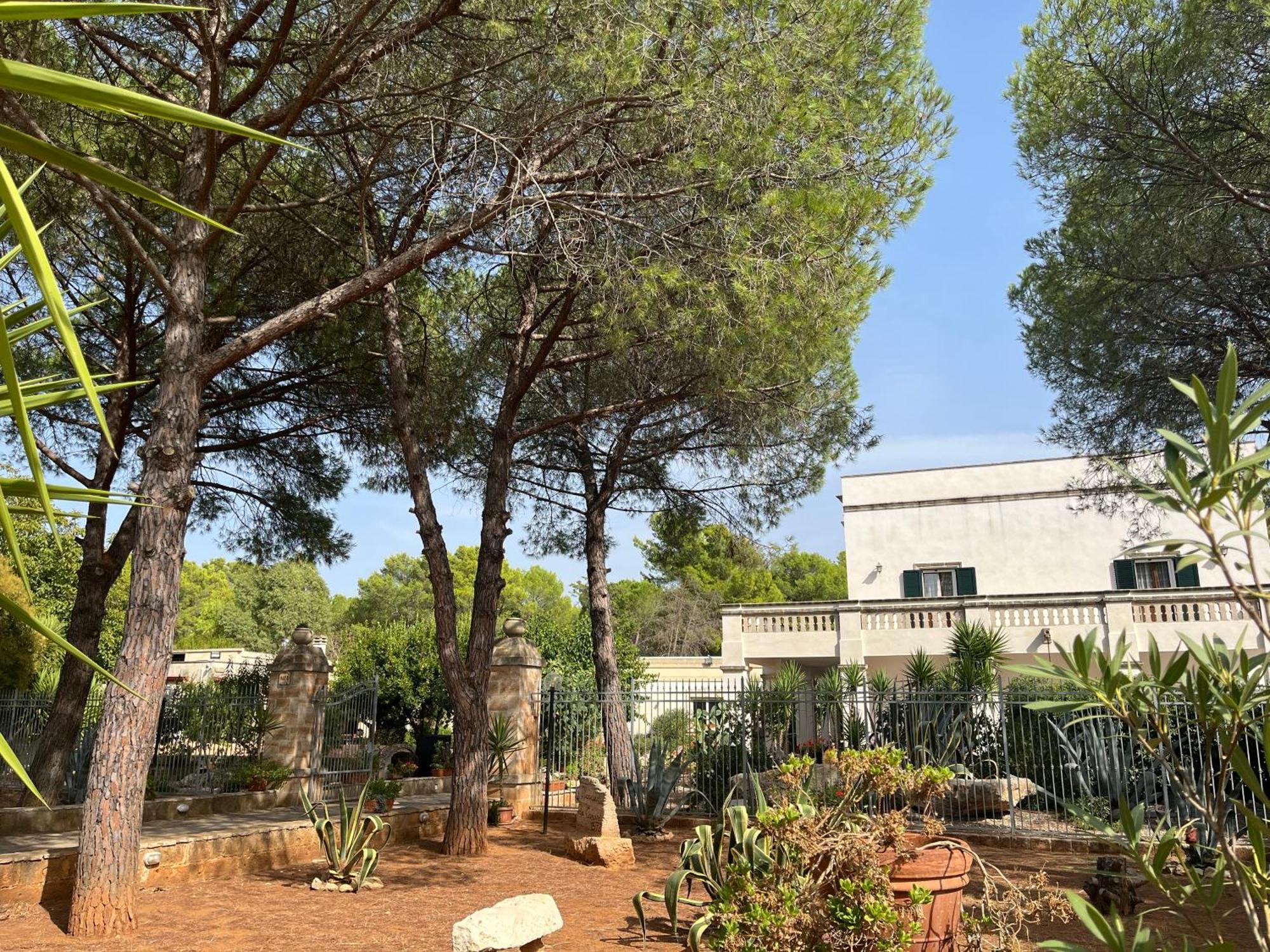 Masseria La Camardia سافا المظهر الخارجي الصورة