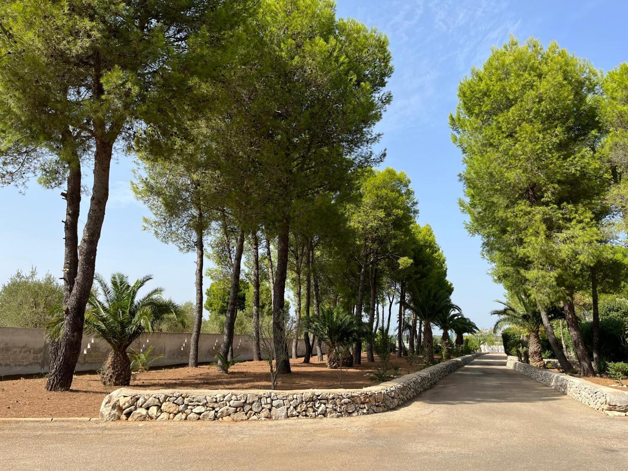Masseria La Camardia سافا المظهر الخارجي الصورة