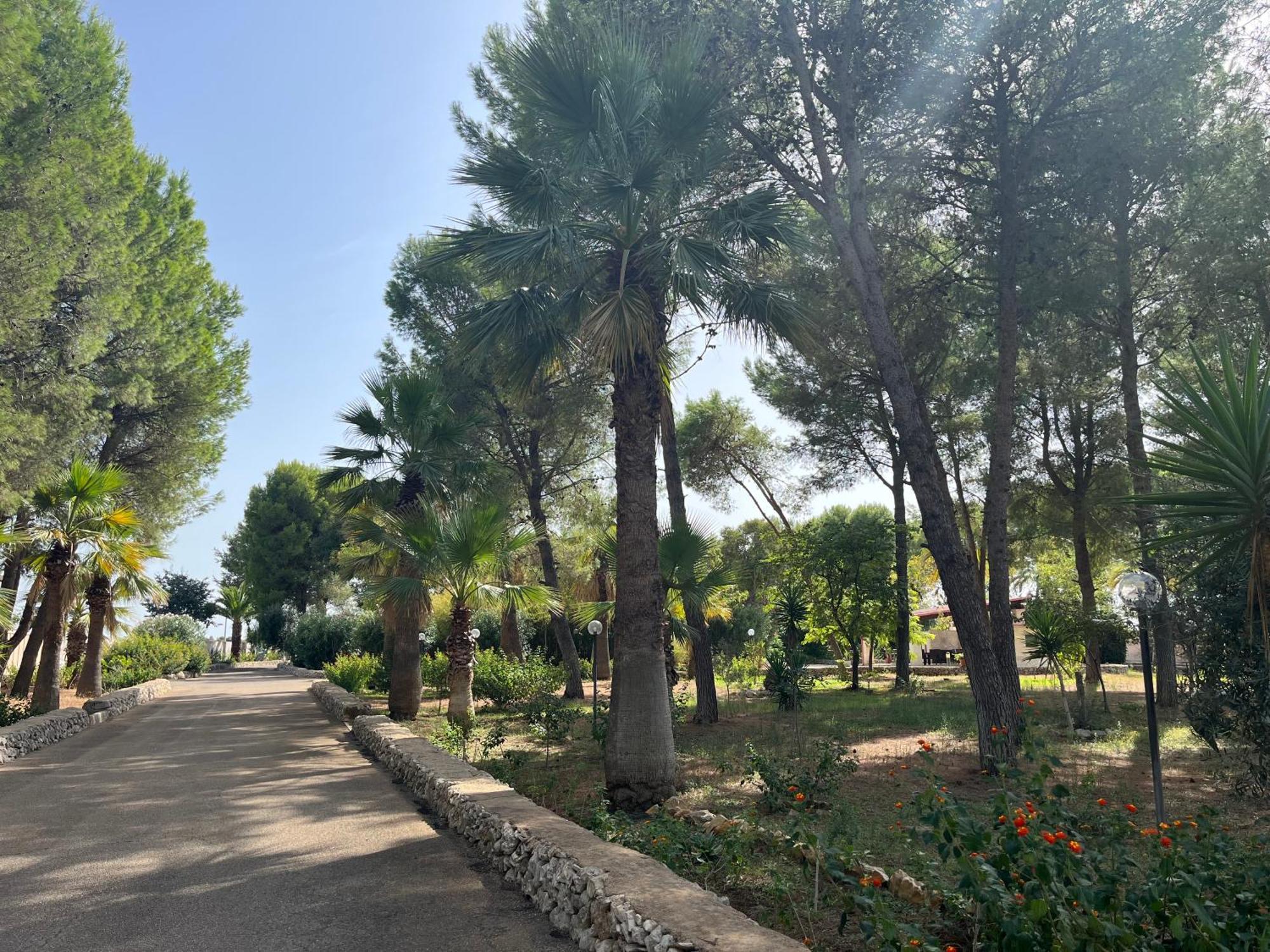 Masseria La Camardia سافا المظهر الخارجي الصورة