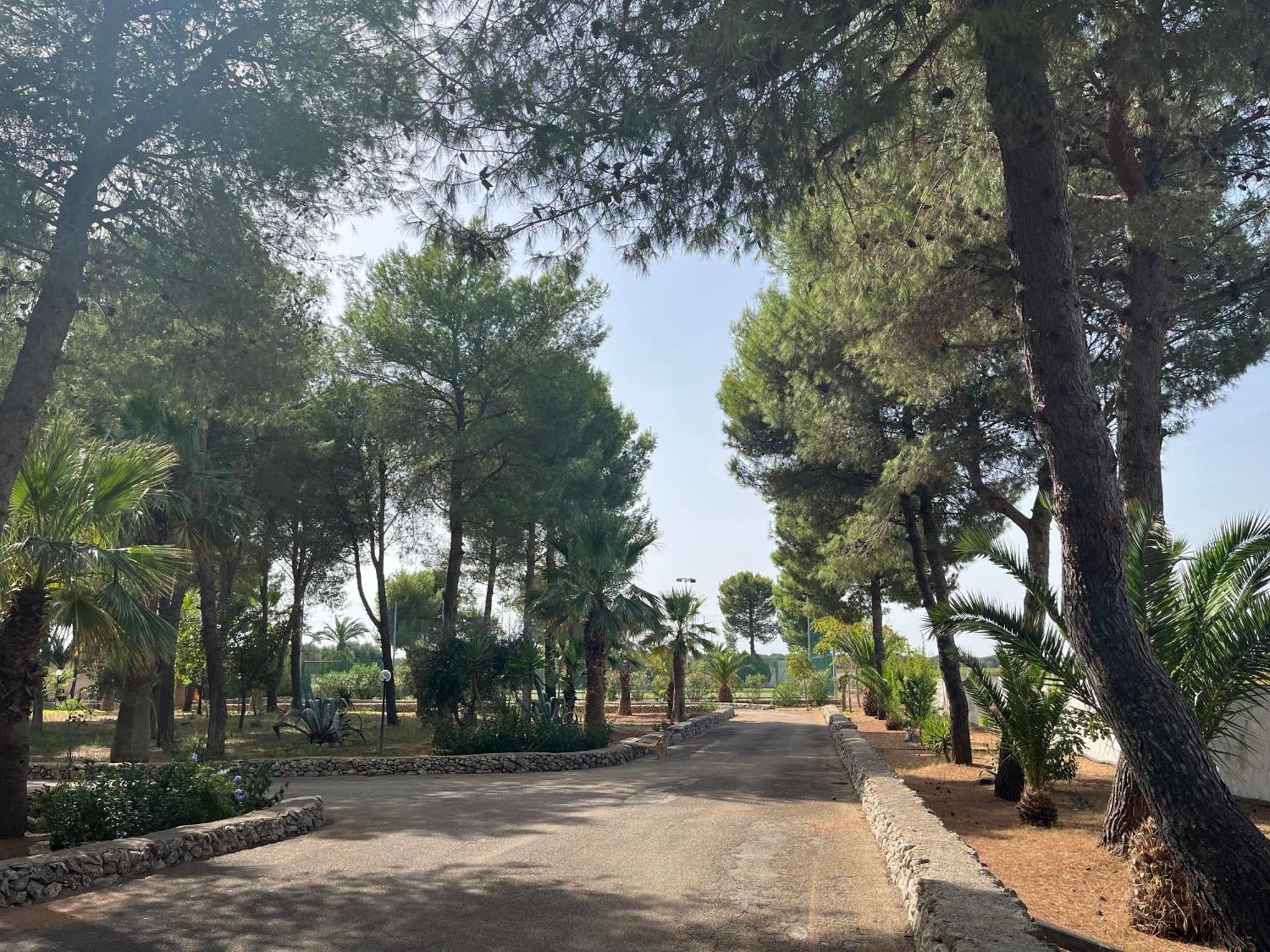 Masseria La Camardia سافا المظهر الخارجي الصورة