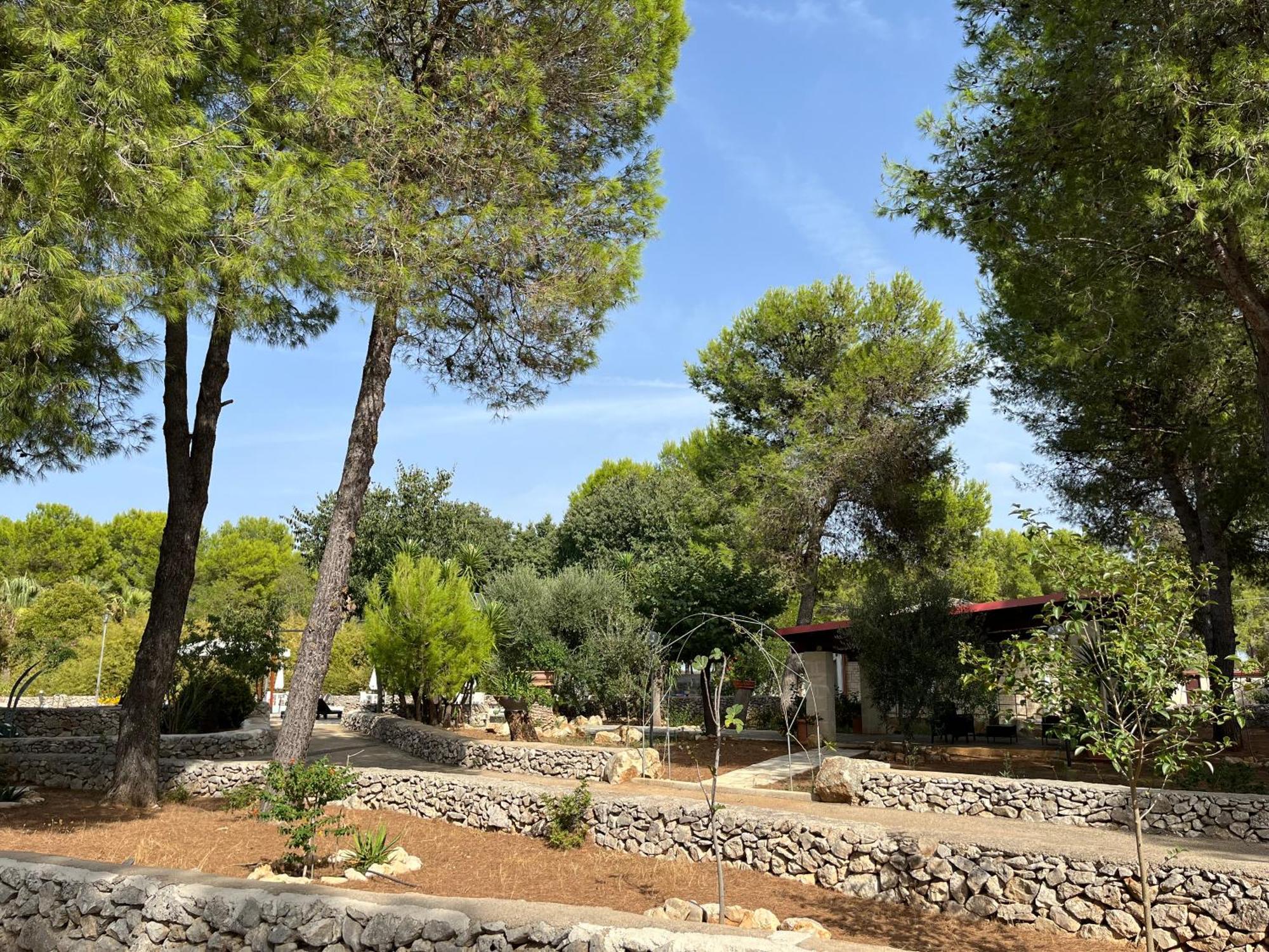 Masseria La Camardia سافا المظهر الخارجي الصورة