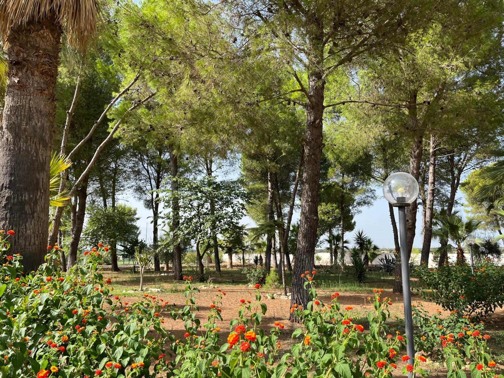 Masseria La Camardia سافا المظهر الخارجي الصورة