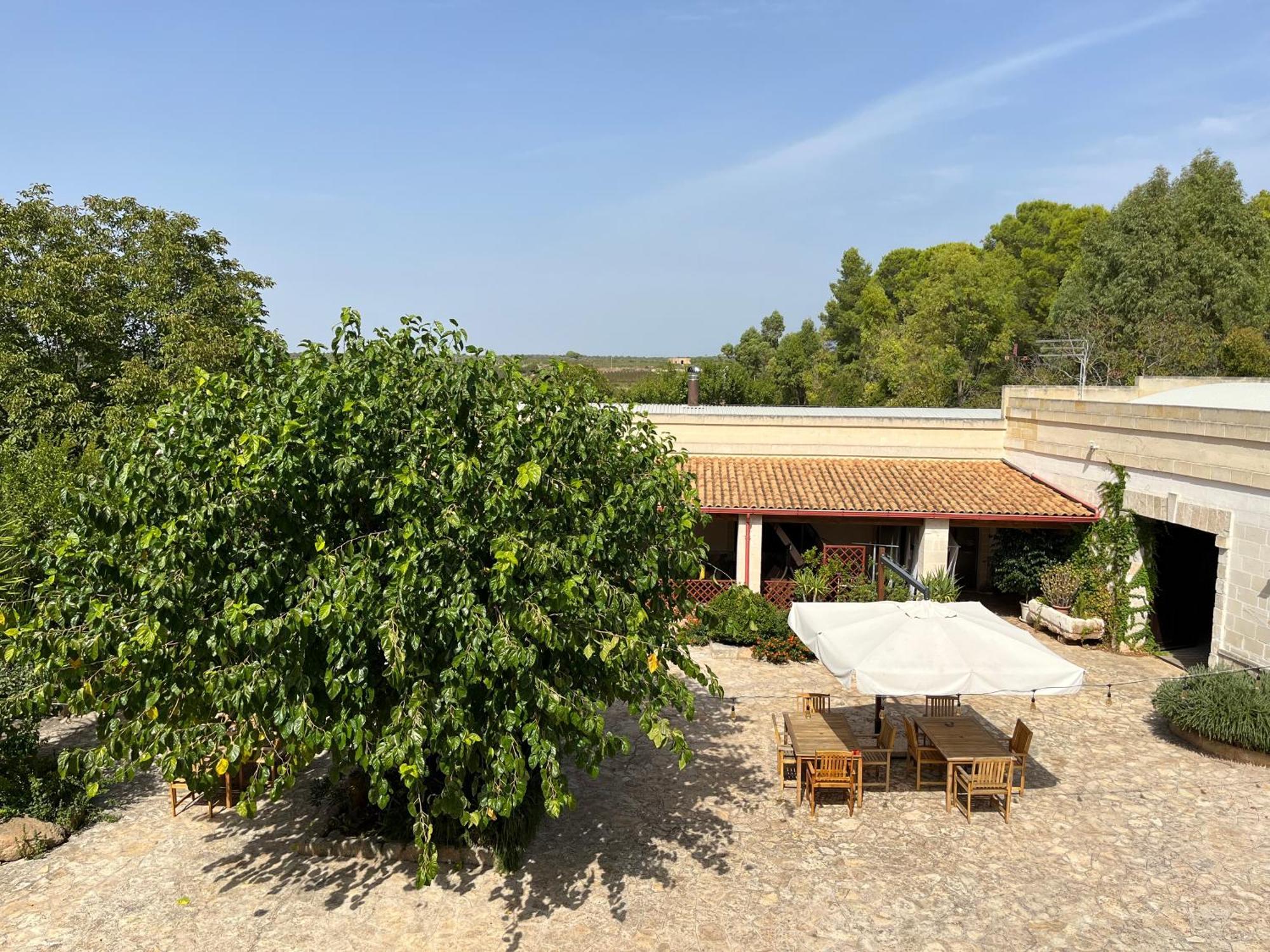 Masseria La Camardia سافا المظهر الخارجي الصورة