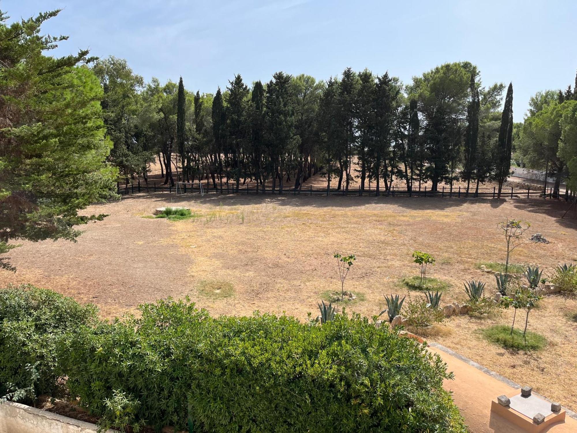Masseria La Camardia سافا المظهر الخارجي الصورة