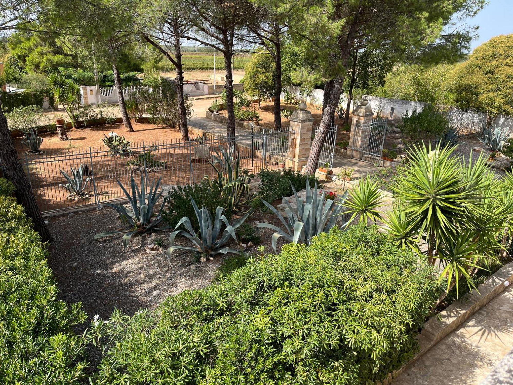 Masseria La Camardia سافا المظهر الخارجي الصورة